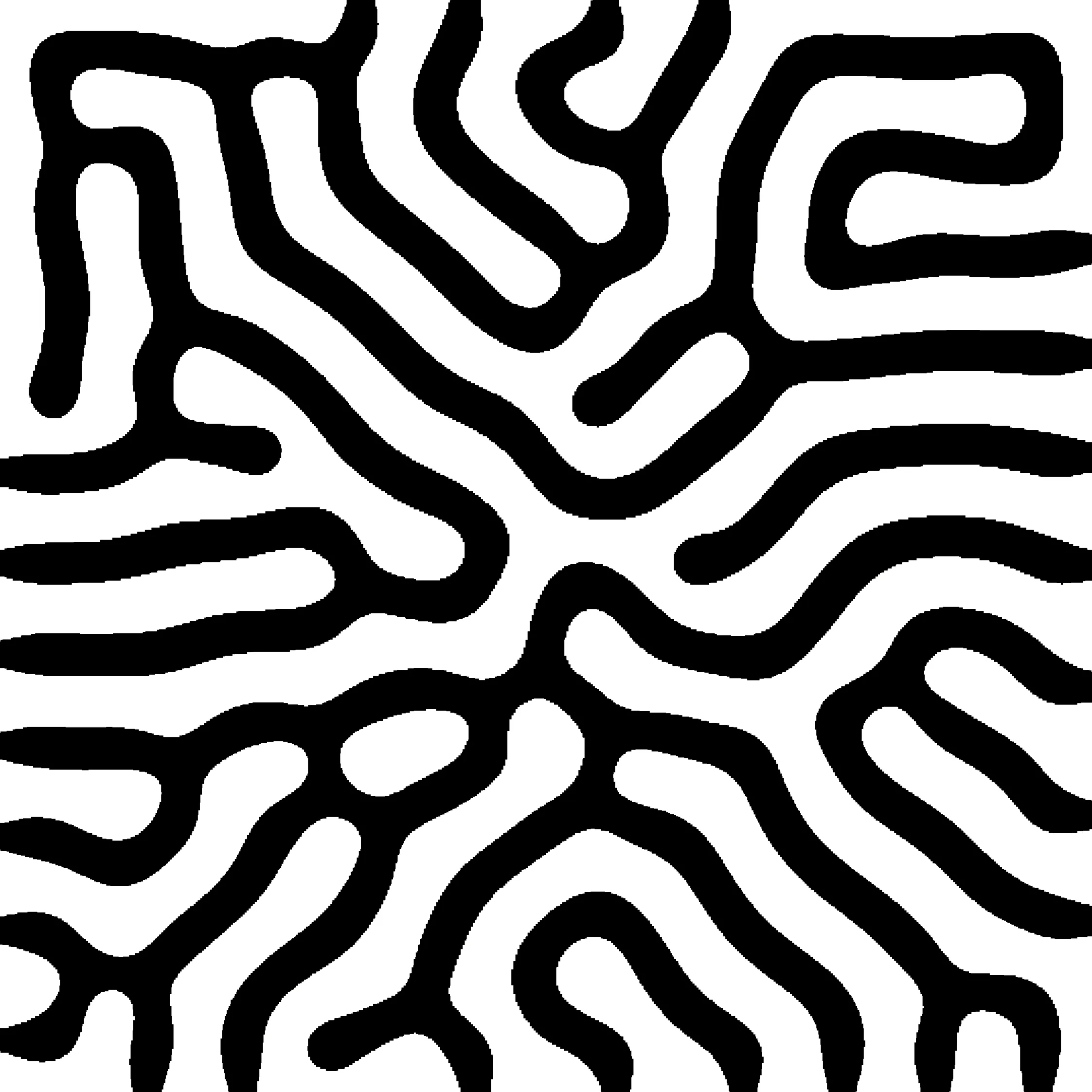 Reaction-Diffusion pattern postprocessed to black and white